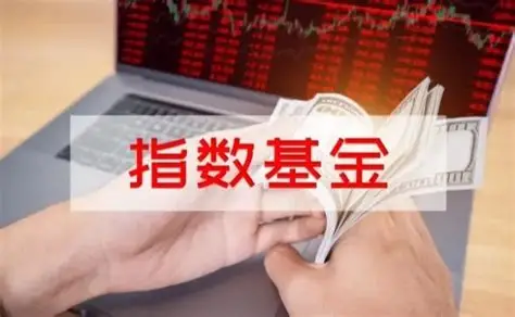 指数型基金投资策略与收益分析：低成本捕捉市场红利的智慧选择