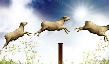 羊群效应：群体行为背后的心理密码