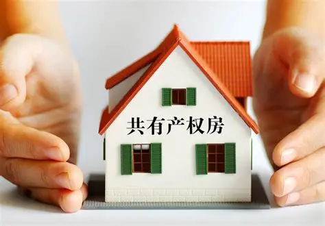 共有产权房：政策性住房的“共有”密码与居住权益