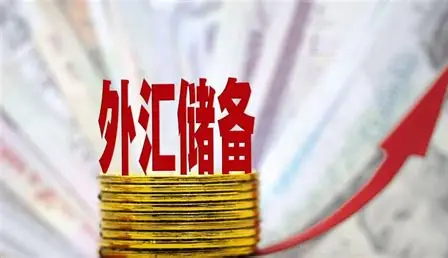 外汇储备：国家经济的“安全垫”与“稳定器”