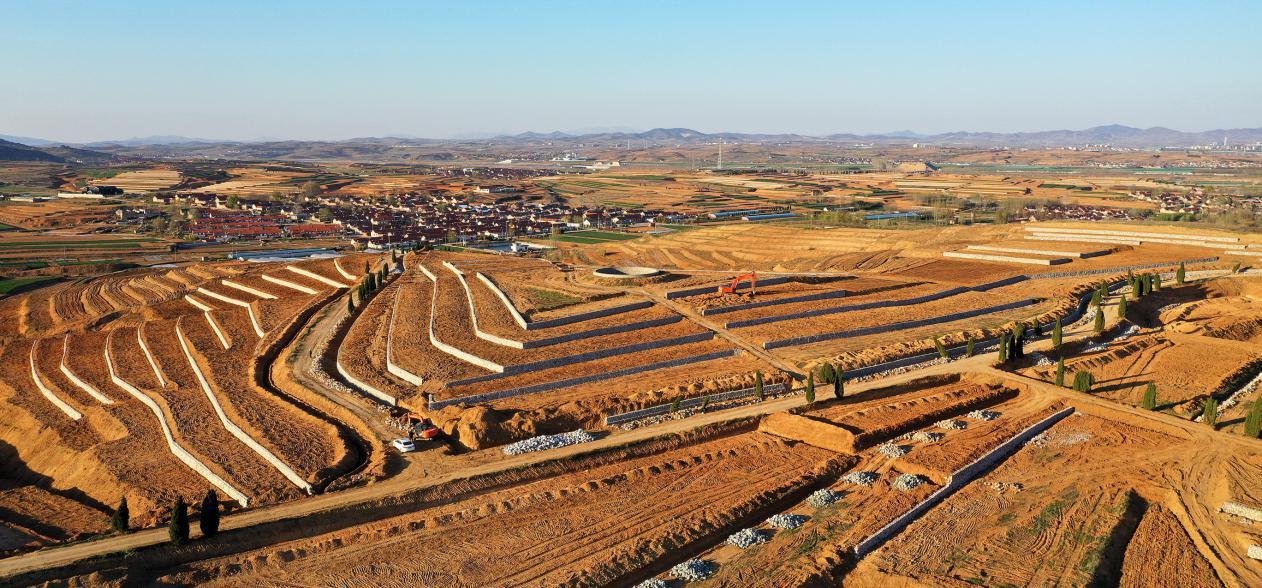 土地开发：从荒芜到繁荣的神奇蜕变