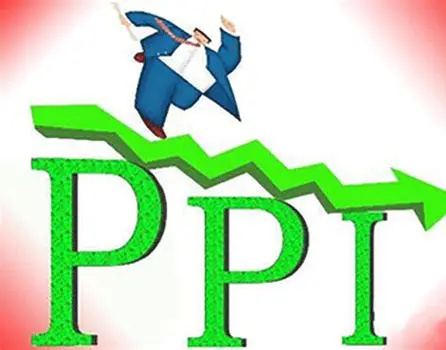 PPI：多面视角下的“神秘缩写”