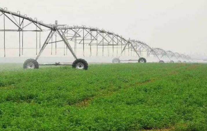 从课堂到田间：新农科引领农业人才新风尚