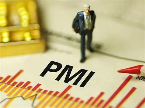 采购经理人指数（PMI）：经济运行的“风向标”