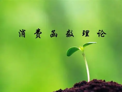 消费函数：揭示消费与收入关系的钥匙