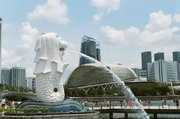 孩子越生越少，为啥新加坡家长反而更焦虑了？