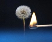 年产60亿根，没被时代淘汰的火柴，靠什么活到现在？