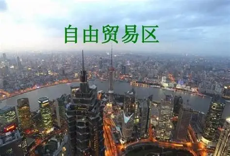 自由贸易区（FTZ）：一扇“境内关外”的开放之窗