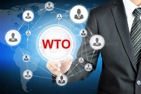 世界贸易组织（WTO）：全球贸易的“规则书”与“调解员”