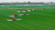 晚播遇雨开局不利，中国夏粮为何能逆势创下历史新高？