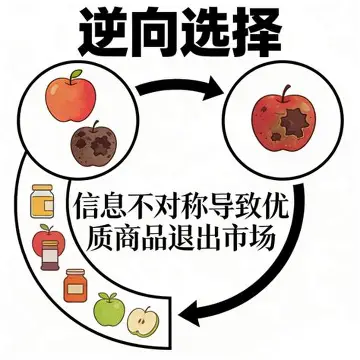 你身边的“逆向选择”：为什么好东西总留不住？